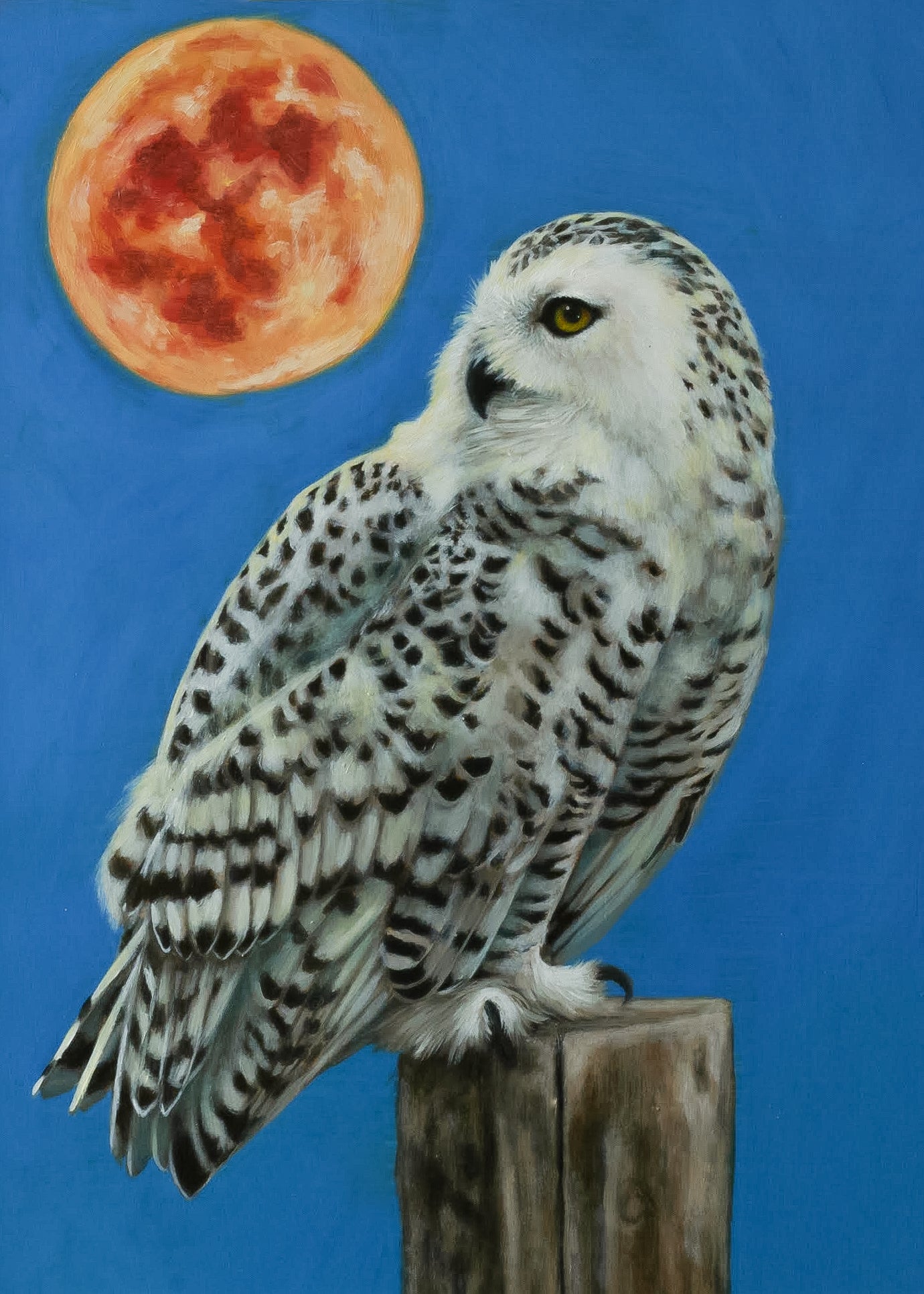 "Silent Under the Moon" Print